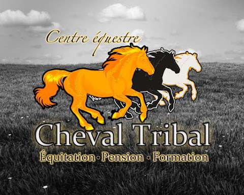 Equestrian Center Cheval Tribal Equestrian Center Cheval Tribal